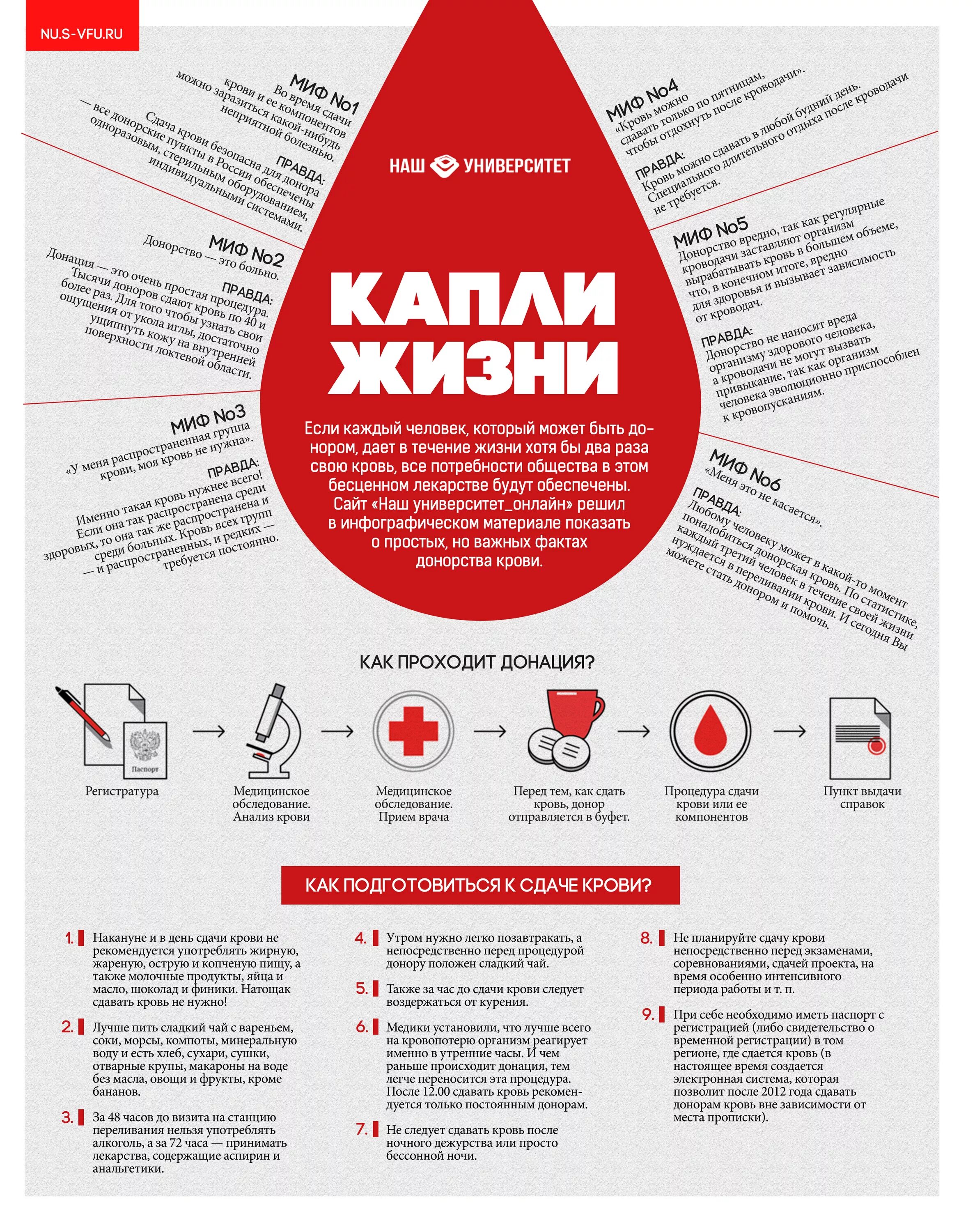 Условия для доноров. Донорство инфографика. Донорство крови инфографика. День донора инфографика. Донор крови инфографика.