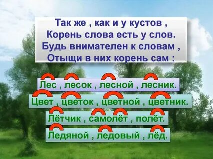 Слово поле где корень