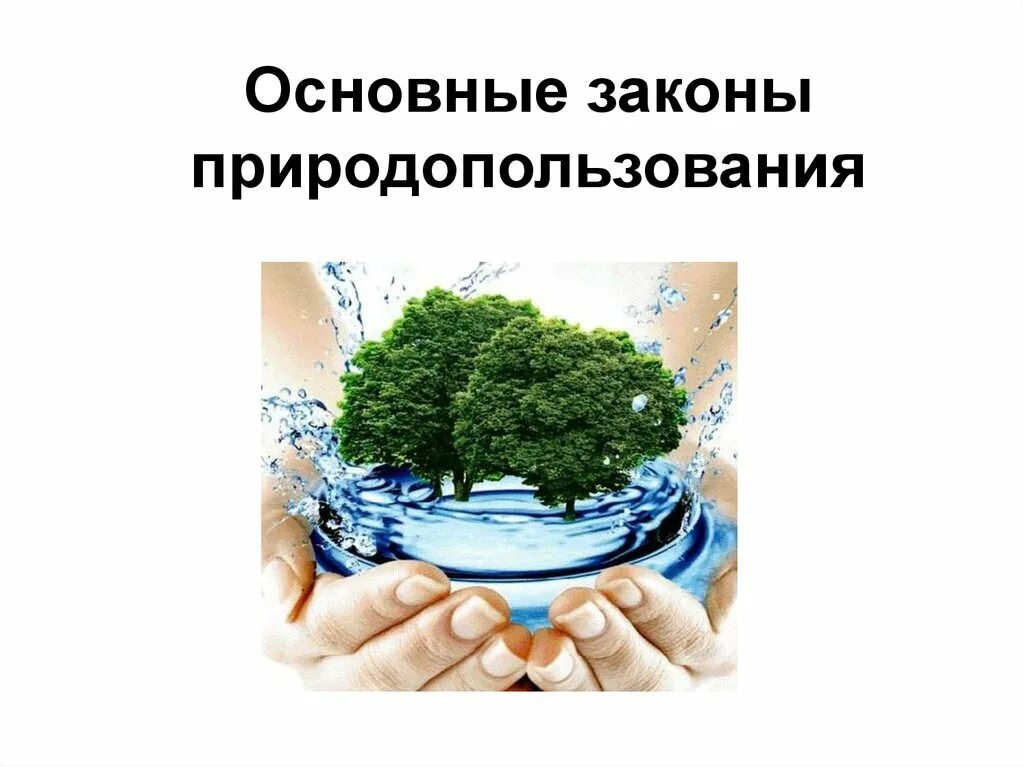 Что из перечисленного является рациональным природопользованием