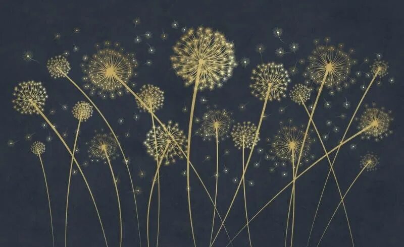 Одуванчик золотой был красивый молодой. Одуванчик золотистый. Одуванчиковое поле. Одуванчик золотистый. Одуванчик в золотой руси.