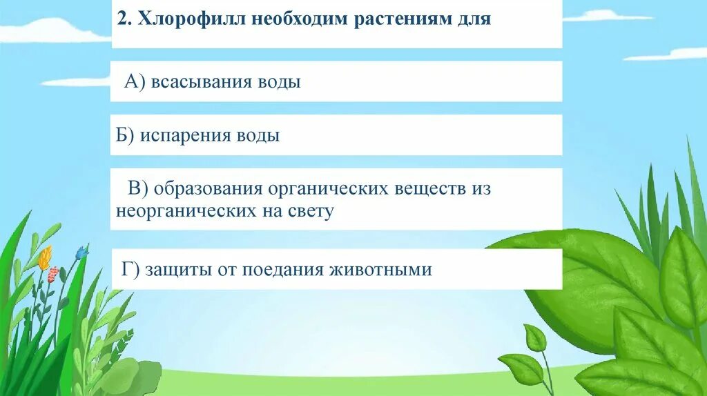 Вода в почве. Что нужно растениям для жизни. Хлорофилл в растениях. Многие необходимые растениям. Многие необходимые растениям.