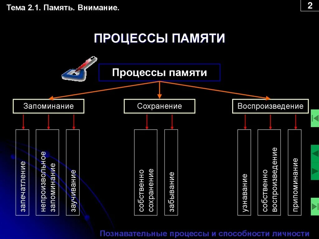 Память как психический познавательный