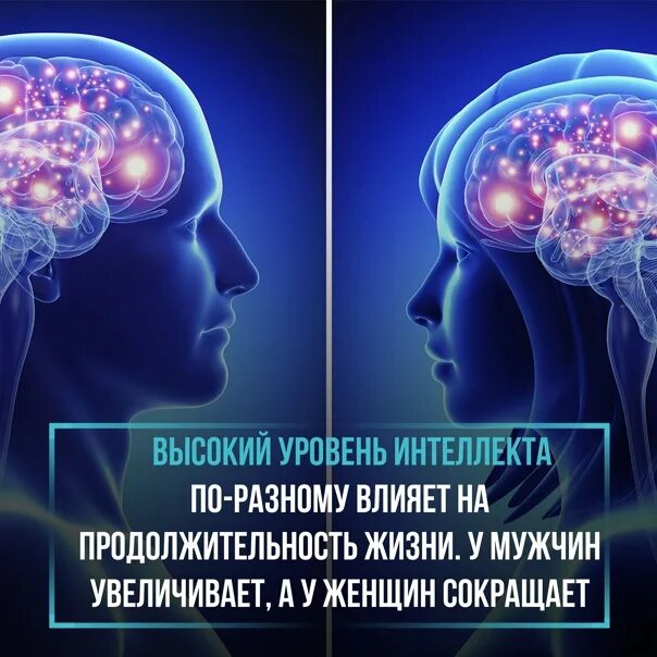 Чем выше интеллект тем. Высокий уровень интеллекта. высоцкий уровень интеллекта. высшая степень интеллекта. люди с высоким уровнем интеллекта.