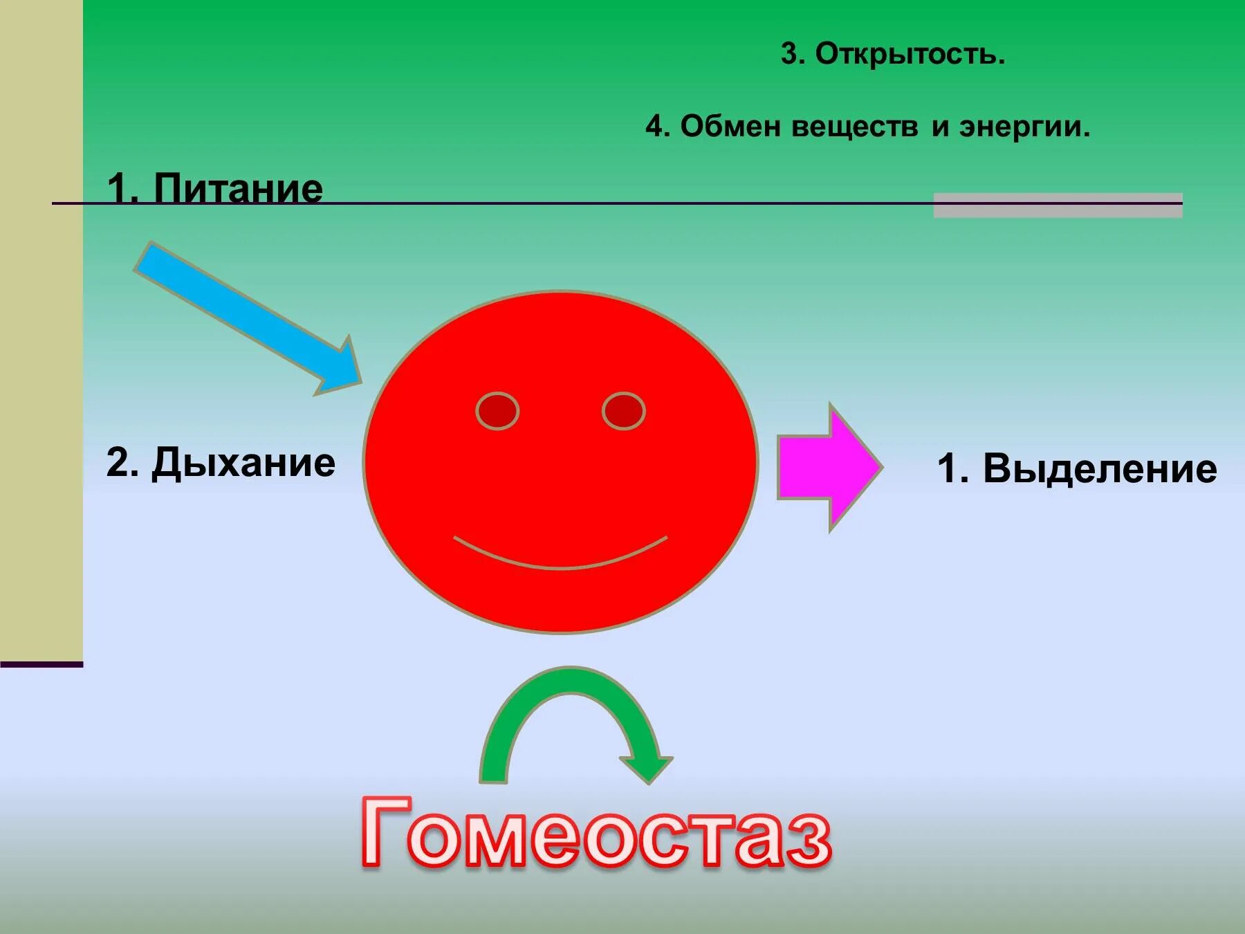 Свойство открытость. Открытость живых систем. Открытость это в биологии. Свойство открытости биология. Открытость свойство живого.