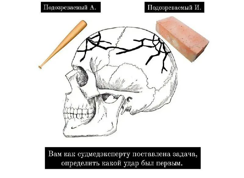 Войны принцесс манга. Андрей ломачинский судмедэксперт. Honkai impact 3rd manga. Аниме хонкай удар 3. Книги про патологоанатомов и судмедэкспертов.