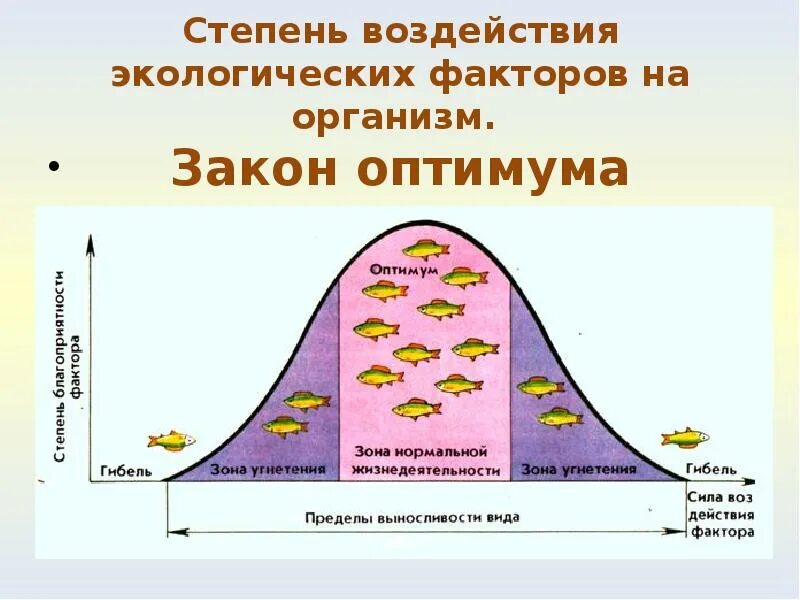 Жизнедеятельность популяции. Схема действия экологического фактора. Законы экологии. Законы оптимума,. Схема действия факторов среды на живые организмы. Зоны экологического оптимума.