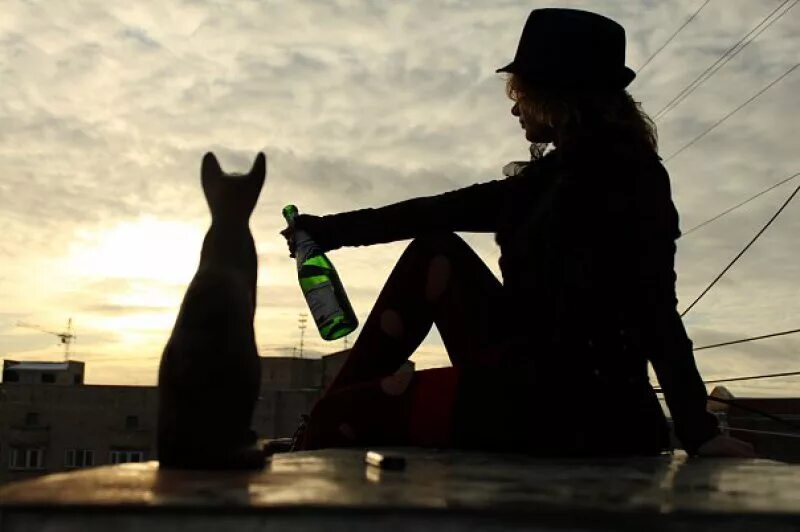 А знаешь кот. Девочка с котом на крыше. девушка кошка. женщина с кошкой. девушка сидит с кошкой.