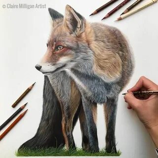 Нарисовать реалистично животного