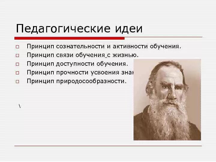 Стоюнин педагогические идеи. Педагогические идеи Толстого. Толстой идеи в педагогике. Педагогическое учение Льва Толстого.