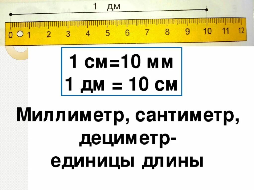 Сколько сантиметров прямая. Единицы измерения 1дм 1 класс. Единицы измерения длины 1 класс дм см. Сантиметры миллиметры дециметры. Дециметры в сантиметры.