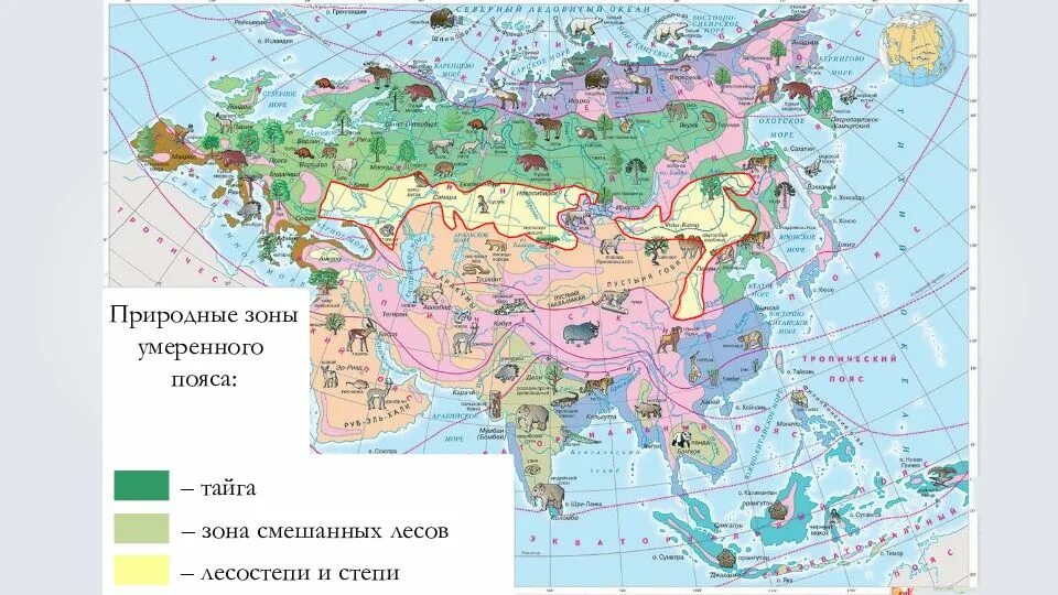 Природно климатические зоны евразии. Карта природных зон Евразии. Природные зоны Евразии атлас. Природные зоны Евразии 7. Разнообразие природы Евразии.