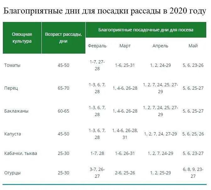 Какого числа сеять капусту в апреле. Сроки посева семян капусты в теплицу. Дни для высадки рассады. Благоприятные дни для посадки рассады. Дата посадки рассады.