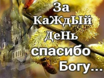 Каждый день благодарить бога