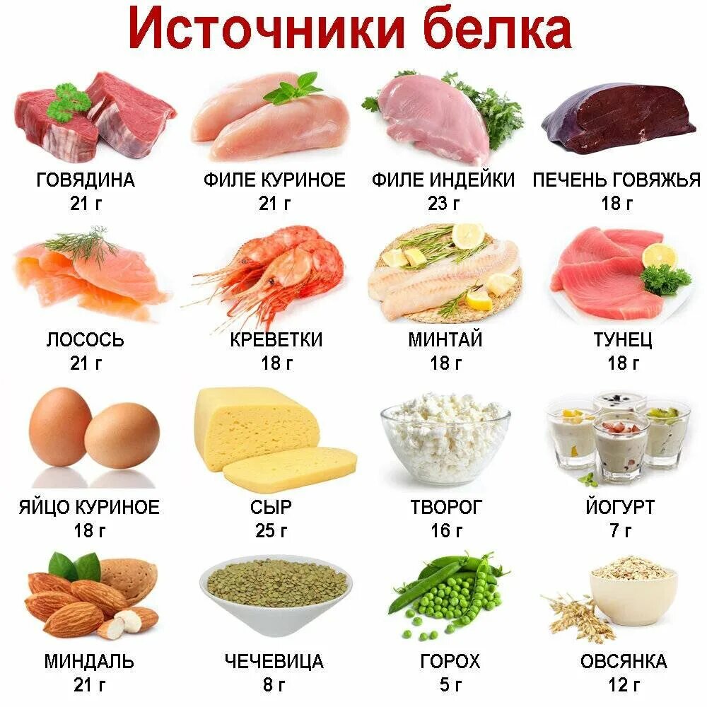 Продукты с высоким содержанием белка. В каких продуктах содержится белок. Белки в каких продуктах. Список продуктов с высоким содержанием белка. Нужен белок что съесть