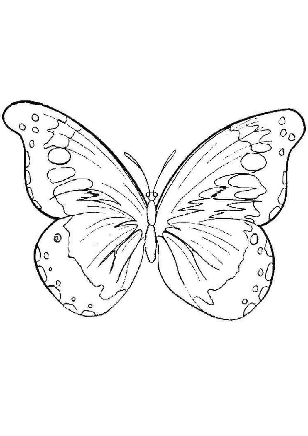 Раскраска "бабочки". Бабочка для раскрашивания. Детские раскраски бабочки. Бабочка раскраска для малышей. Бабочки раскраски для детей 5 6 лет