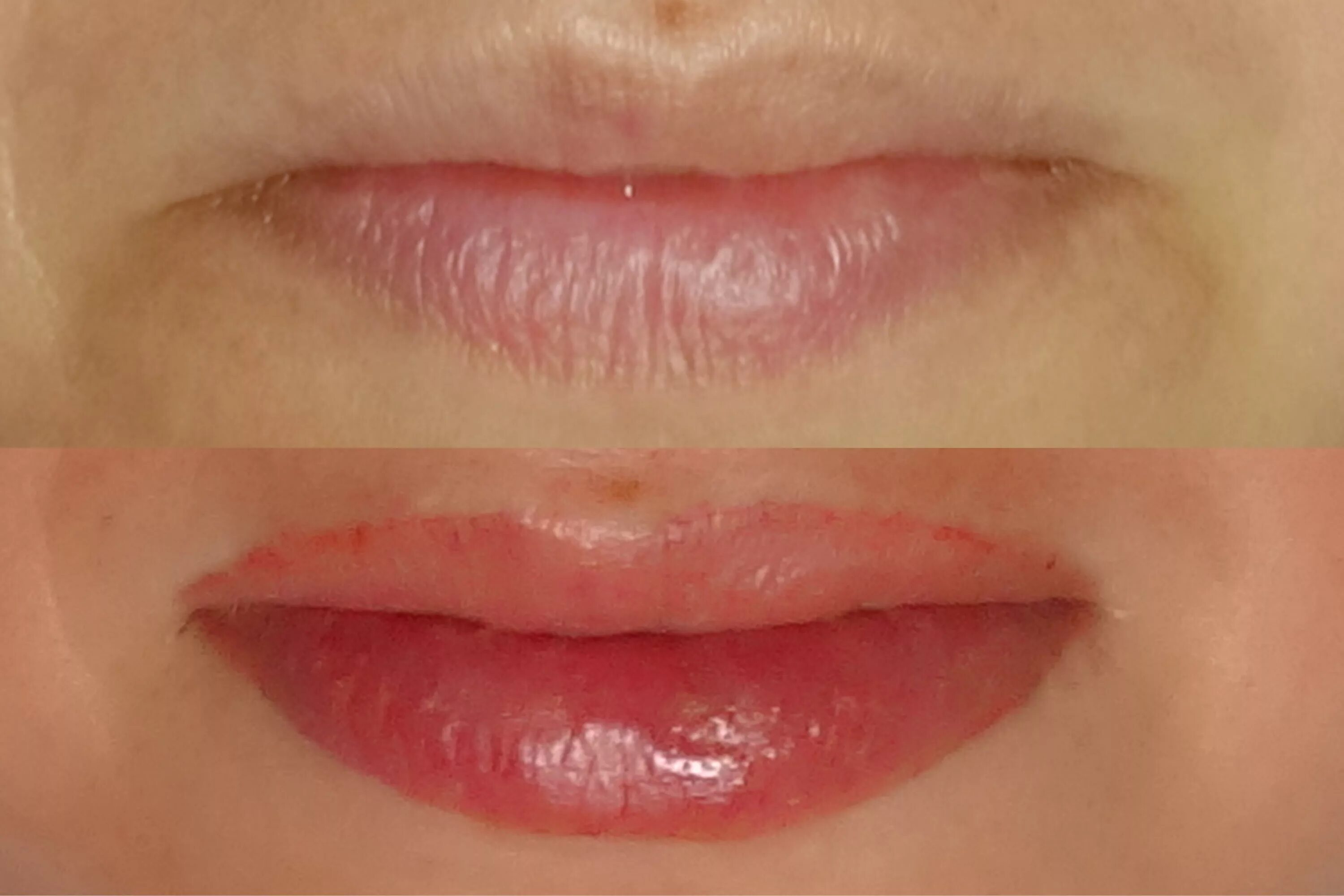 коралловый цвет губ татуаж. помада после татуажа. татуаж губ помадный эффект зажившие. перманентный макияж губ. цвет зацелованных губ татуаж.