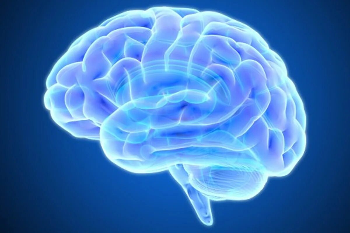 Brain h. Мозг свечение. Синий мозг. Мозг Сток.
