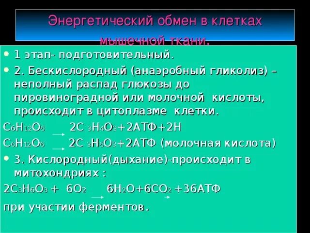 Бескислородный этап энергетического обмена происходит. Бескислородный этап (анаэробный) - гликолиз. Гликолиз бескислородный этап. Этапы энергетического обмена таблица. Бескислородный этап гликолиз энергетического обмена.