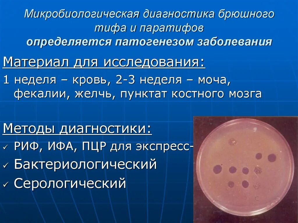 Крови на 3 неделе. Микробиологическая диагностика брюшного тифа. Микробиологическая диагностика брюшного тифа и паратифов. Методы исследования брюшного тифа. Брюшной тиф материал для микробиологического исследования.