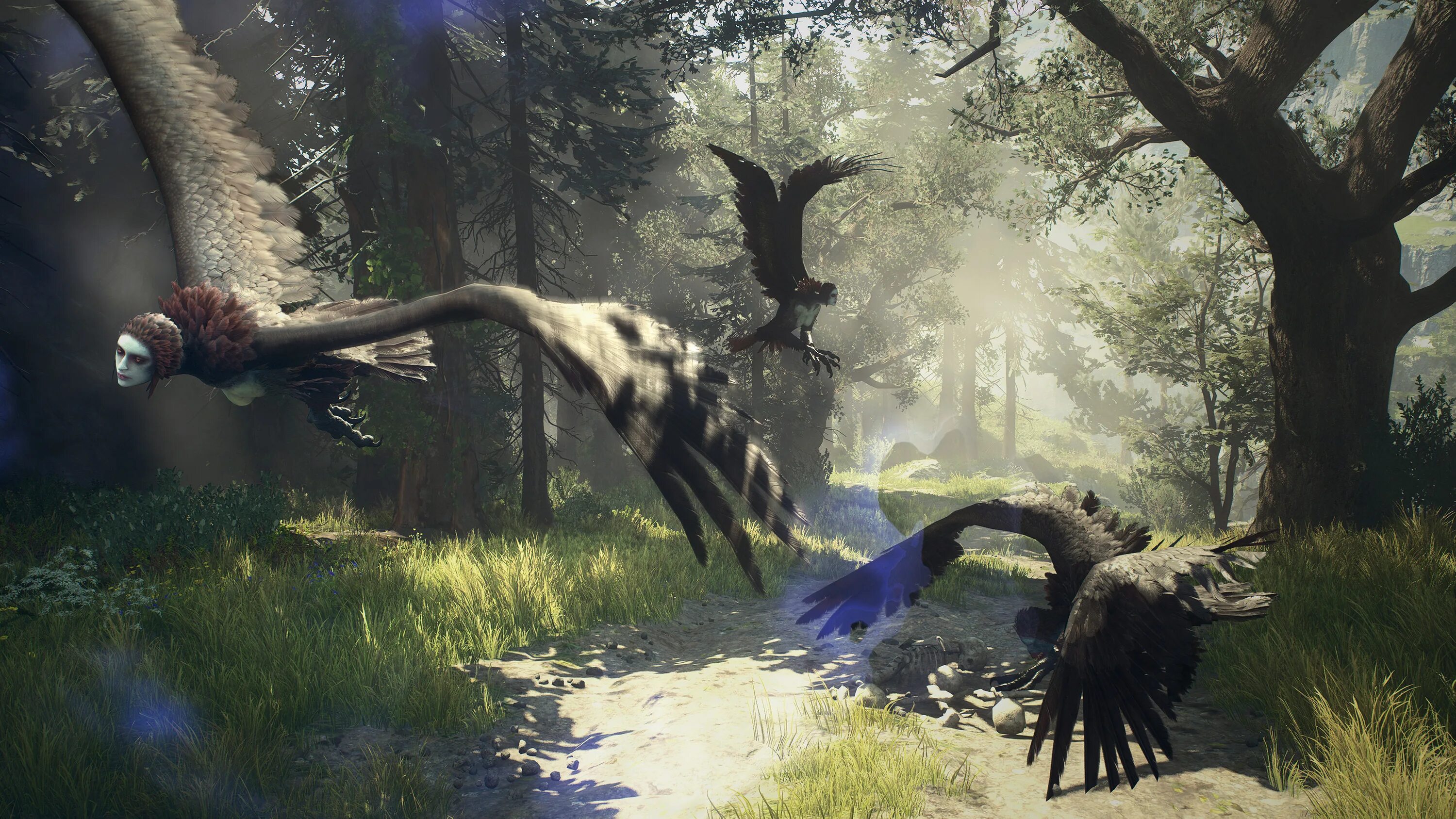 Dragons dogma 2 дата выхода на pc. Драгон догма 2. dragon’s dogma ii игра. драгон догма 2 геймплей. драгонс догма 2 дата выхода.