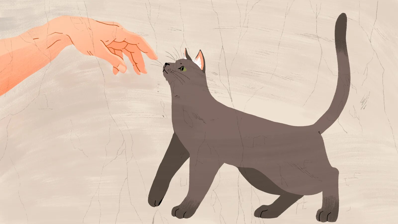 Getting a cat. Rikuto кошка. shade of a cat. tribute to a cat and a dog. a cat in weightlessnessart.