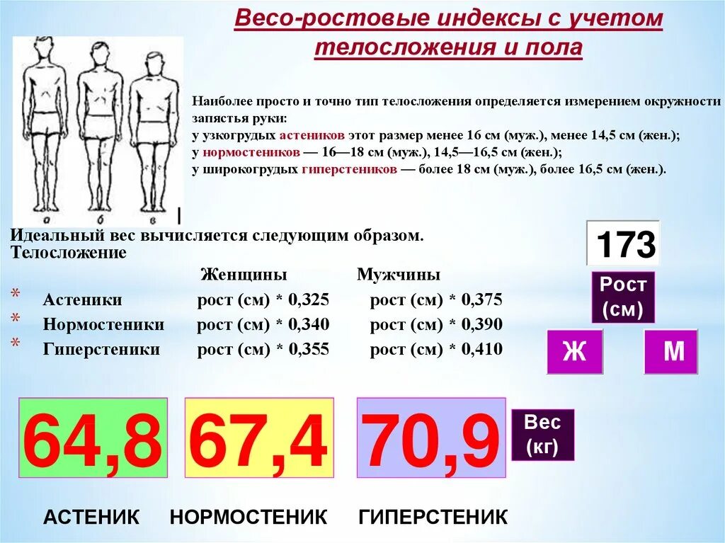 Весо-ростовые индексы. Тип телосложения по запястью. Тип телосложения по обхвату запястья. Определить Телосложение по запястью. Калькулятор типа телосложения