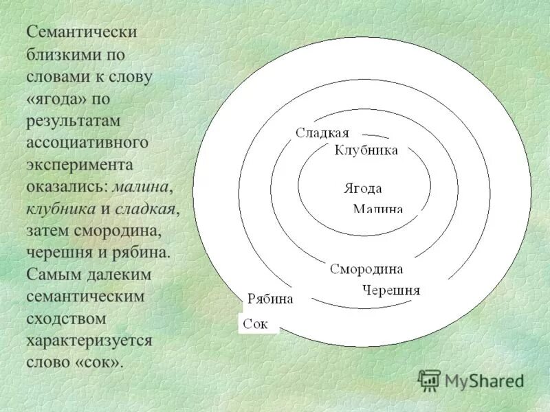 Понятие семантическое поле. Семантическое поле слова. Схема семантического поля. Лексико-семантическое поле.