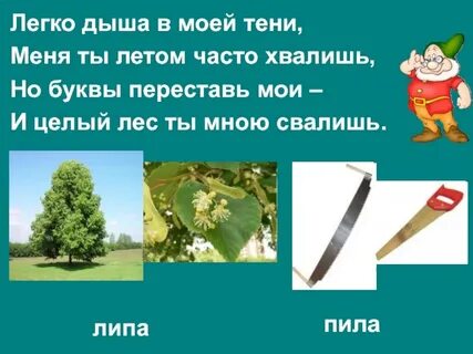 Лип пил