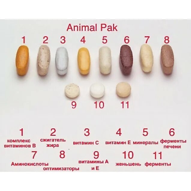 Animal pak 44 paks universal. Universal Nutrition animal Pak 44. Animal Pak (Universal Nutrition) 44 пак. Витамины animal Pak Universal Nutrition (44 пакетика). Universal Nutrition animal Pak 44 Packs.