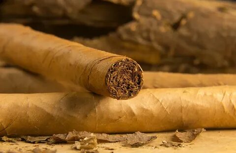 Cigars tobacco