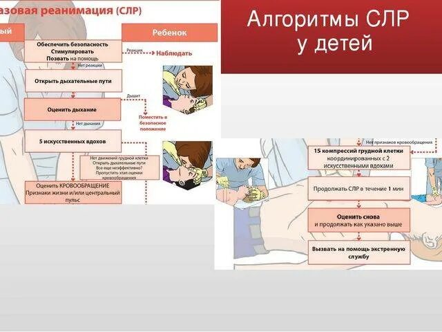 Базовая сердечно-легочная реанимация алгоритм. Опишите порядок проведения сердечно легочной реанимации. Реанимация детей алгоритм действий. Алгоритм базовой сердечно легочной реанимации у детей. Реанимация детей алгоритм действий.