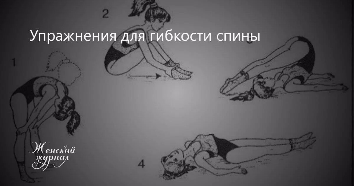 Как развить гибкость спины. Упражнения для гибкости спины. упражнения для развития гибкости спины. комплекс упражнений на развитие гибкости спины. упражнения на гибкость спины для начинающих.