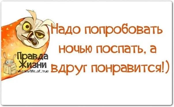 Юмор приколы. Не пробовала надо будет. Не пробовала надо будет. Не пробовала надо будет. Надо пробовать.