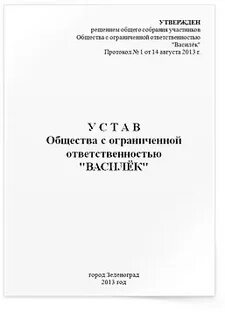 Устав несколько учредителей