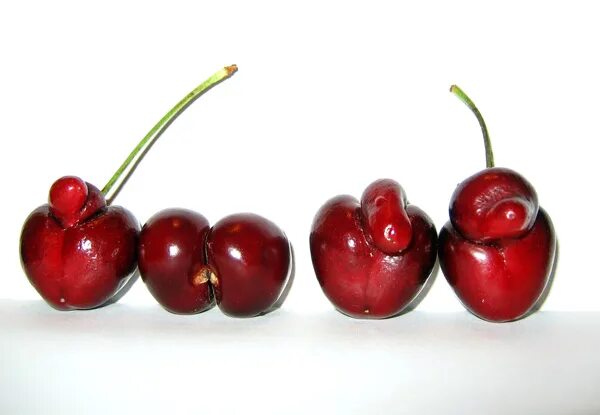 ягоды в ягодицах. ягоды в ягодицах. необычные ягоды клубники. клубника в разрезе. ягодицы ягодные.