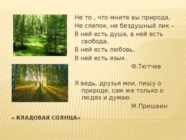 Не то что мните вы природа тютчев. Ф.и. тютчева «не то, что мните вы, природа». не то что мните вы природа. не то что мните вы. стих не то что мните вы.