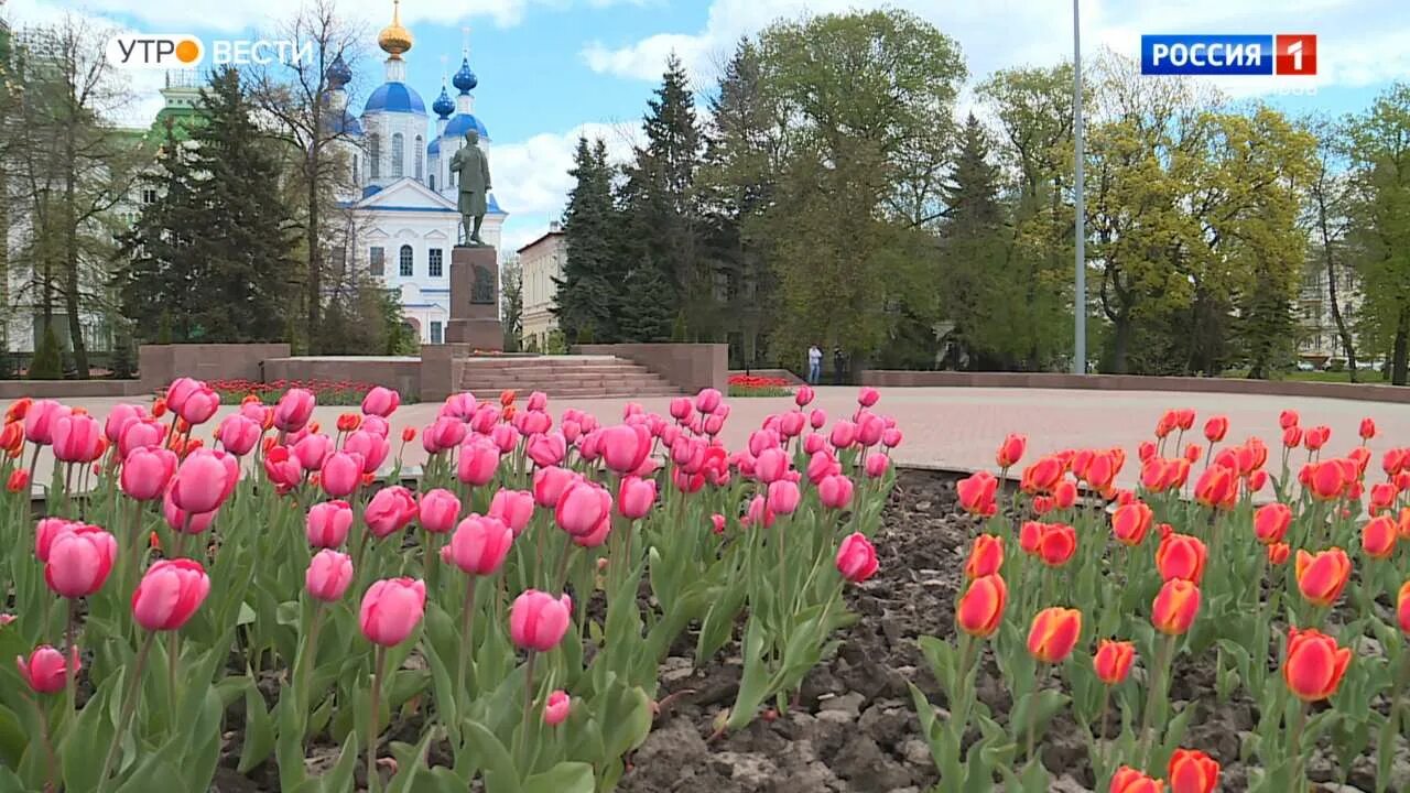 Тюльпаны нижнекамск. Клумбы в Тамбове. Тюльпаны на клумбе Тамбов. Тамбов тюльпаны парк Победы. Тамбов в цвету.