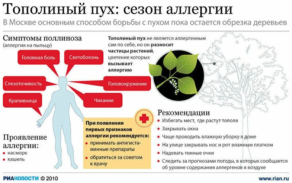 Как проявляется аллергия на цветение. Аллергия на Тополиный пух. Аллергия от тополиного пуха. Аллергия на Тополиный пух симптомы. Аллергия на Тополиный пух симптомы у детей.