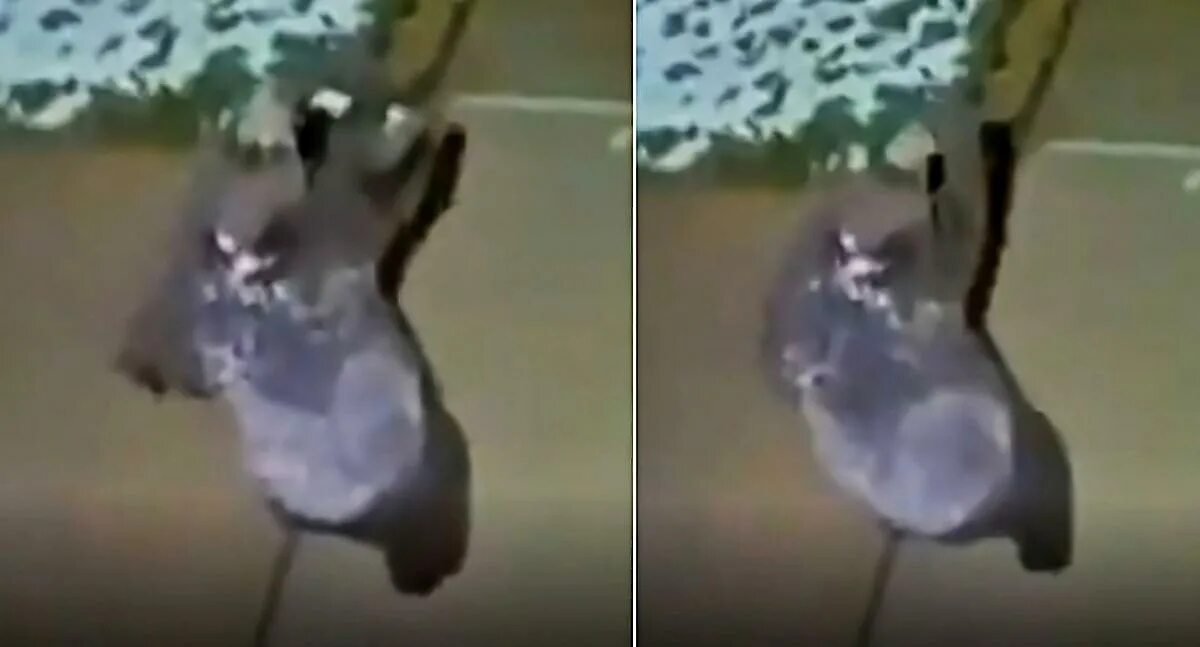 попытка поймать 3