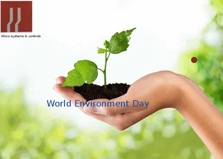 Environment s a