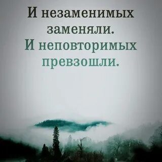 Не заменим