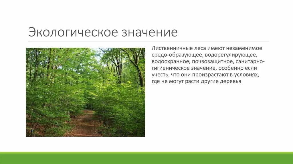 Окружающее значить. Экологическое значение лесов. Экологическое значение леса. Экологическая важность леса. Экологическое значение лес.