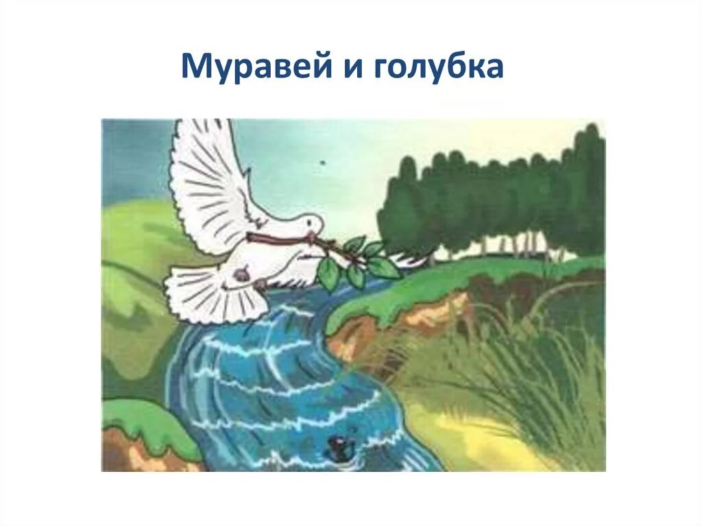 Лев Николаевич толстой муравей и Голубка. Басни Льва Толстого муравей и Голубка. Басня муравей и Голубка толстой. Басня л н толстой муравей и Голубка. Голуби лев толстой