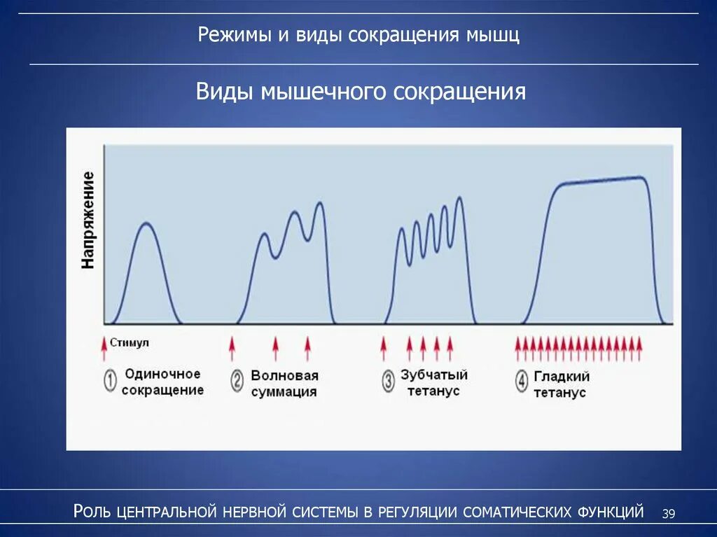 Виды и режимы сокращений