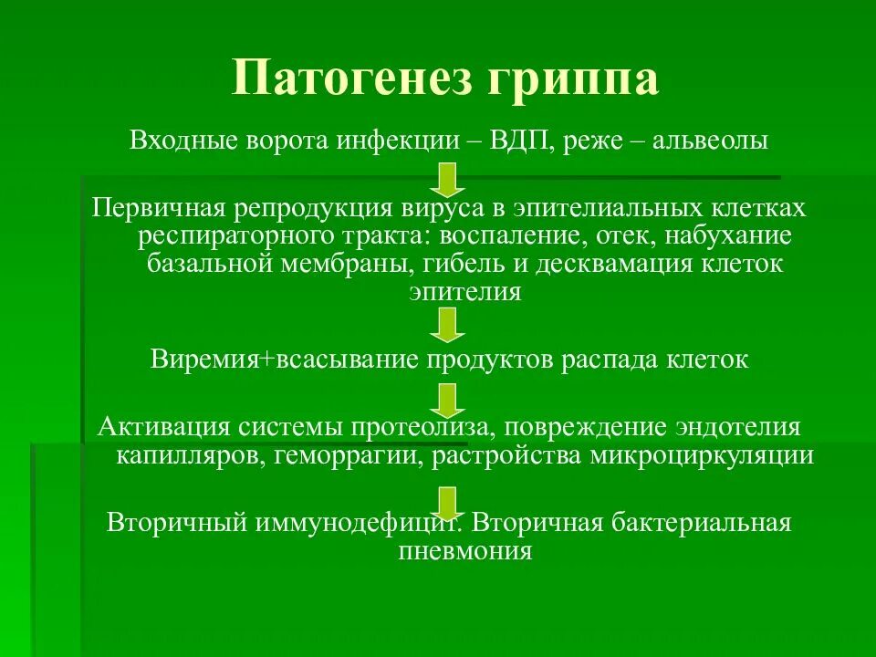 Вирусы патогенез. Грипп этиология патогенез. Патогенез вируса гриппа. Механизм развития гриппа. Патогенез гриппа кратко.