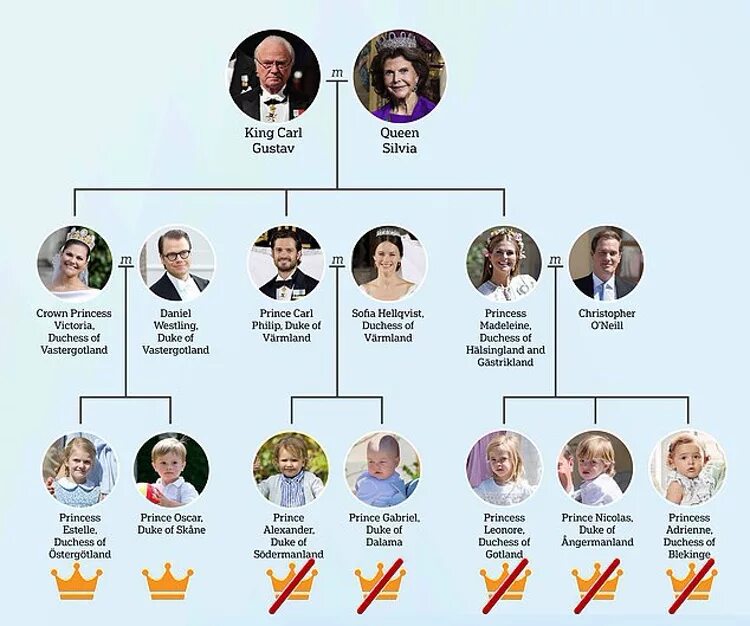 Королевская семья Швеции Древо. Королевская семья Великобритании Древо 2023. Шведская семья Королевская семья генеалогическое Древо. Древо Елизаветы 2 королевы Англии.