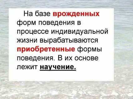 Приобретенная форма поведения примеры Примеры приобретенных форм поведения 8 класс