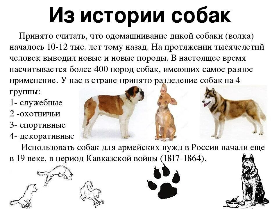 Чему учит рассказ собака