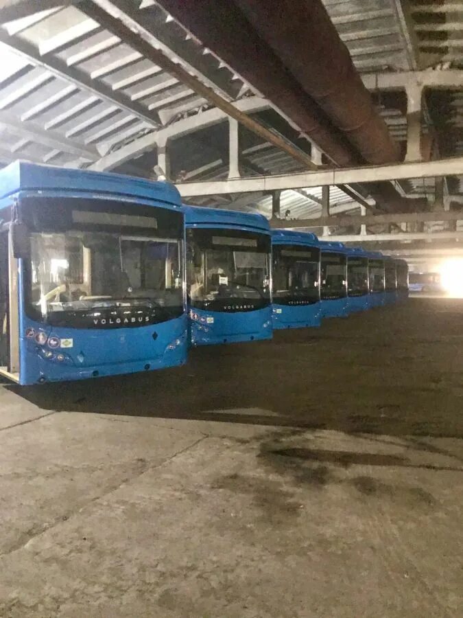 Автобус 225 саратов красный. ПИТЕРАВТО Новокузнецк. ПИТЕРАВТО автобусы. Автобусы ПИТЕРАВТО В Новокузнецке. Автобус 2024.