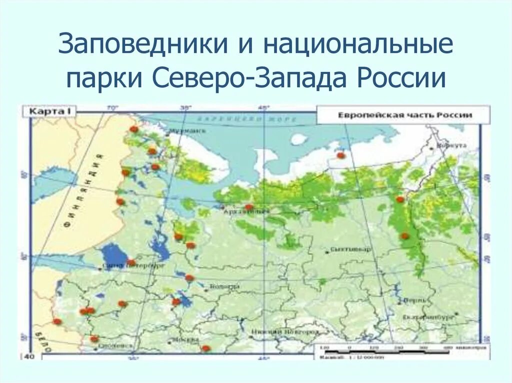 Крупнейшие заповедники россии на карте. Северо-Западный - СЗФО национальные парки. Заповедники европейского севера России на карте. Заповедники Северо-Запада России на карте. Заповедники европейского Северо Запада России.